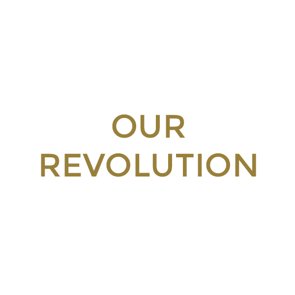 Our Revolution logo